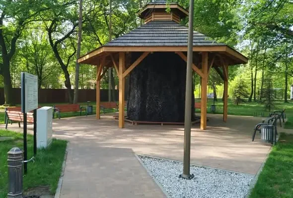 Tężnia solankowa w Brzozowicach — mikroklimat jak nad morzem, czynna codziennie