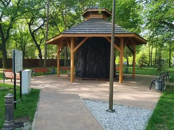 Tężnia solankowa w Brzozowicach — mikroklimat jak nad morzem, czynna codziennie