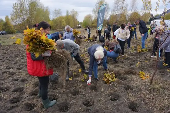 Pierwszy las kieszonkowy w Piekarach Śląskich – 2000 sadzonek na 1000 m²